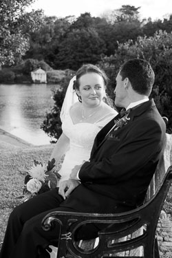 Weddings Weddings