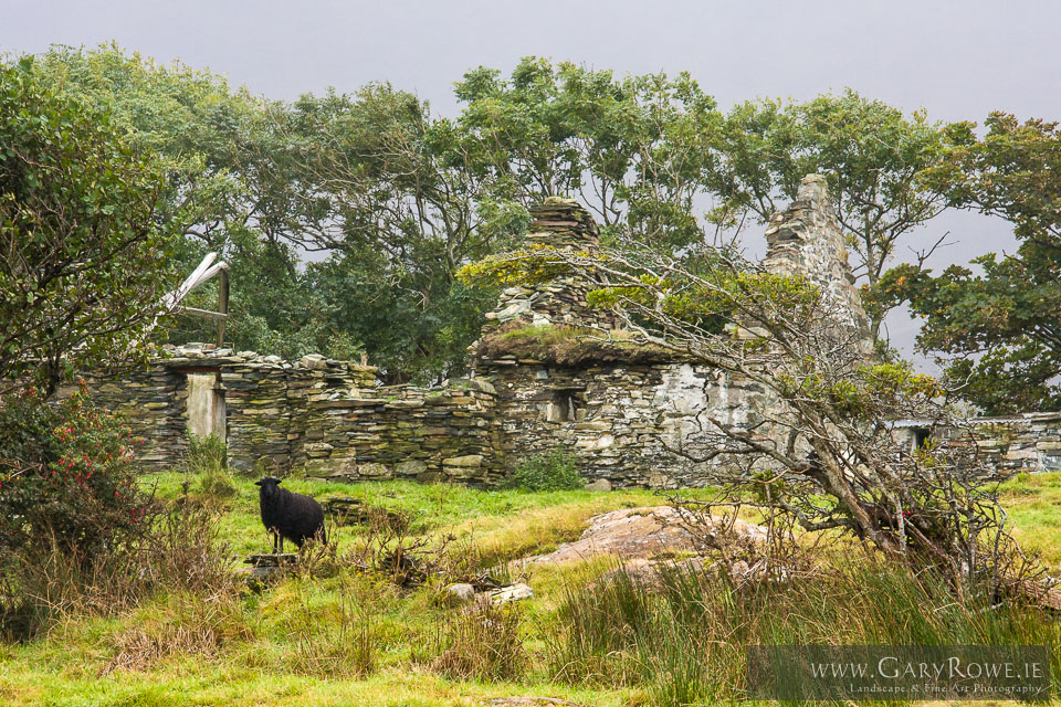 Derelict-Cottage-near-Salruck.jpg