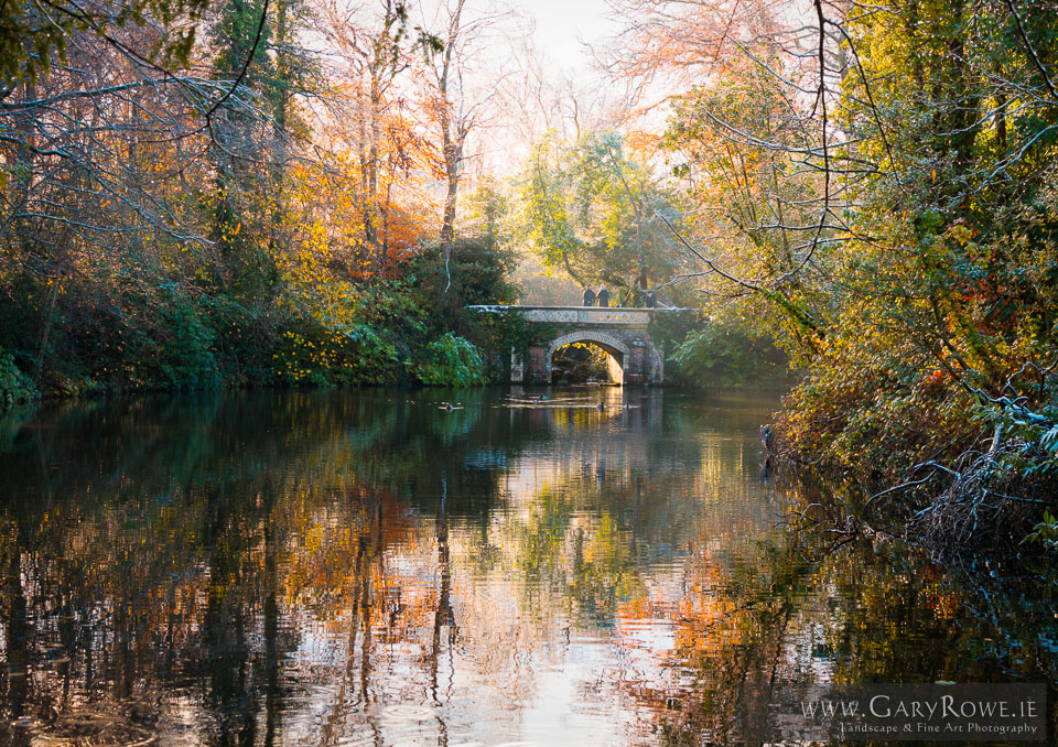 Winter-at-Marlay-Lower-Lake-Edit.jpg