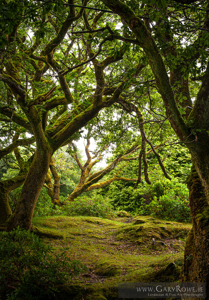 Ballynahinch,-Connemara.jpg