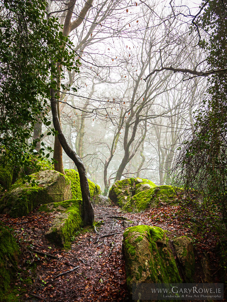 Mist-on-Killiney-Hill.jpg