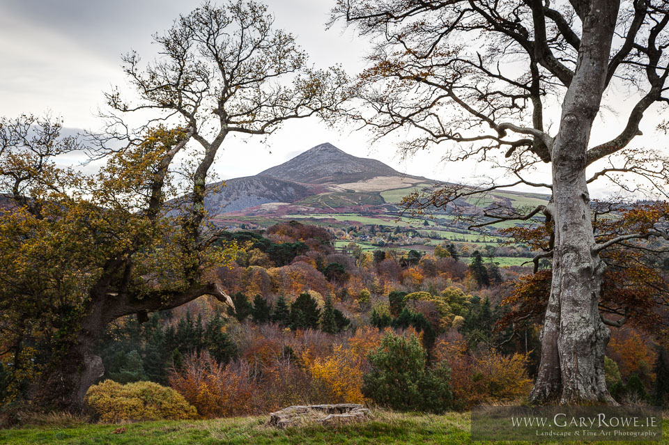 The-Big-Sugarloaf,-from-Powerscourt.jpg