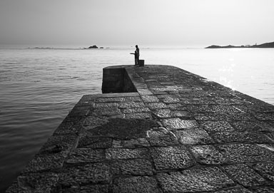 Purchase Prints